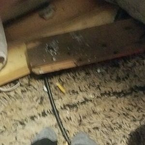 Meet your Posher, Billy